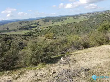 66548m2 Plot for Sale in San Martín de Tesorillo-61827
