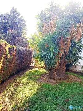 1 bedroom Apartment for Sale in Mijas Golf-62416