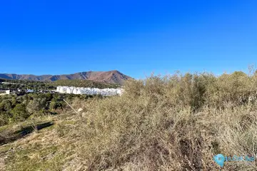596m2 Plot for Sale in Estepona-62571