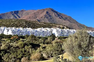 596m2 Plot for Sale in Estepona-62573