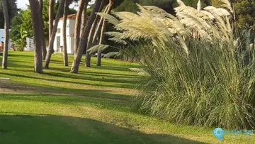 2 bedroom Apartment for Sale in Calahonda-63129