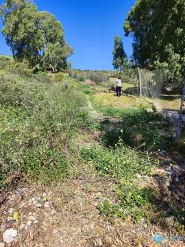 32787m2 Plot for Sale in Estepona-84194