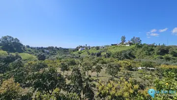 7998m2 Plot for Sale in Mijas-63996