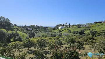 7998m2 Plot for Sale in Mijas-63992