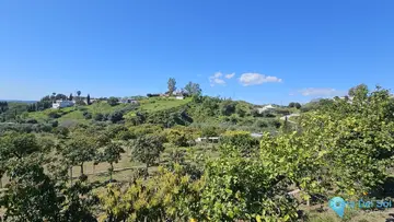 7998m2 Plot for Sale in Mijas-63993