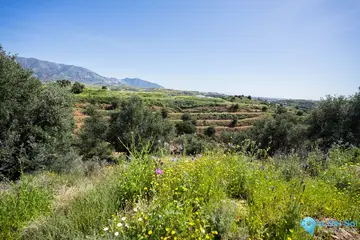 29719m2 Plot for Sale in Mijas-64876