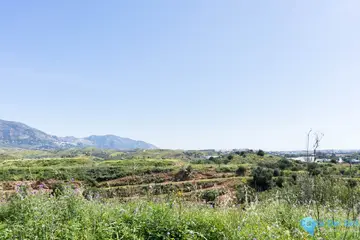 29719m2 Plot for Sale in Mijas-64879