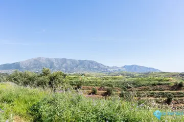 29719m2 Plot for Sale in Mijas-64880