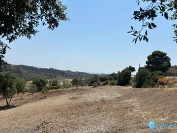 8900m2 Plot for Sale in Estepona-65442