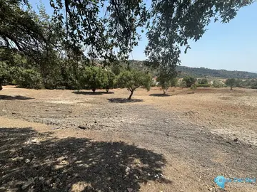 8900m2 Plot for Sale in Estepona-65453