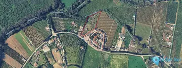 10258m2 Plot for Sale in San Martín de Tesorillo