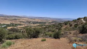 25000m2 Plot for Sale in Coín-66710