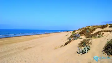 1090m2 Plot for Sale in Elviria-105408