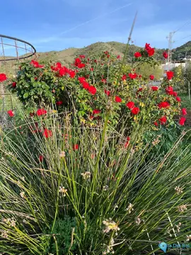 17127m2 Plot for Sale in Campanillas-105412