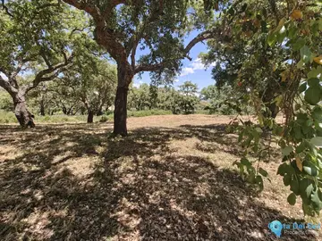 2096m2 Plot for Sale in San Roque Club-105653