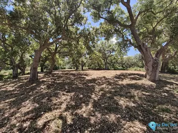 2096m2 Plot for Sale in San Roque Club-105654