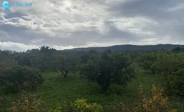 14000m2 Plot for Sale in Sotogrande-2042