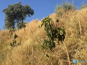 18206m2 Plot for Sale in Alhaurín el Grande-106070