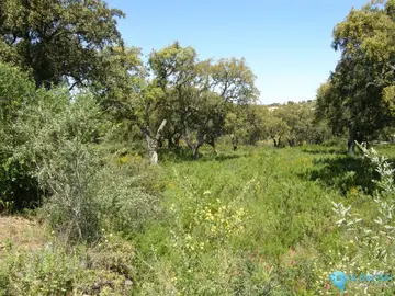 2811m2 Plot for Sale in San Roque Club