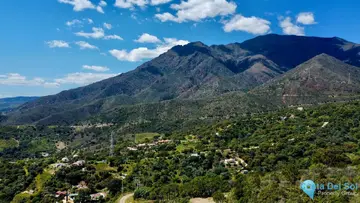 27487m2 Plot for Sale in Estepona-68979