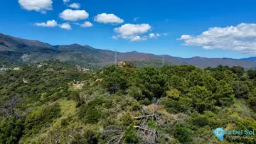 27487m2 Plot for Sale in Estepona-68981
