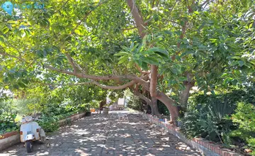 3 bedroom House for Sale in Estepona-2392