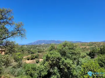1250m2 Plot for Sale in Elviria