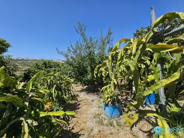 2 bedroom House for Sale in Casares-71348