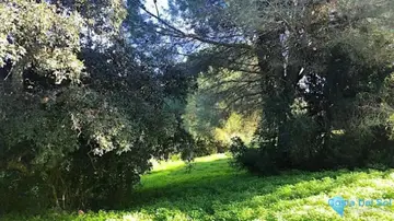 2514m2 Plot for Sale in Sotogrande Alto-72347