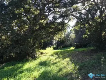 2514m2 Plot for Sale in Sotogrande Alto-72349