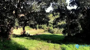 2514m2 Plot for Sale in Sotogrande Alto-72351