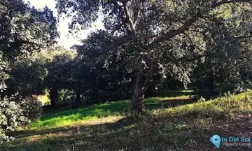 2514m2 Plot for Sale in Sotogrande Alto-72353