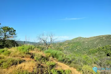 12373m2 Plot for Sale in Cartajima-98175