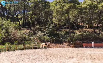 4195m2 Plot for Sale in Benahavís-3961