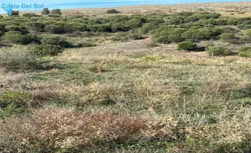 1200m2 Plot for Sale in Bel Air