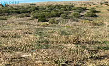 1200m2 Plot for Sale in Bel Air-4508